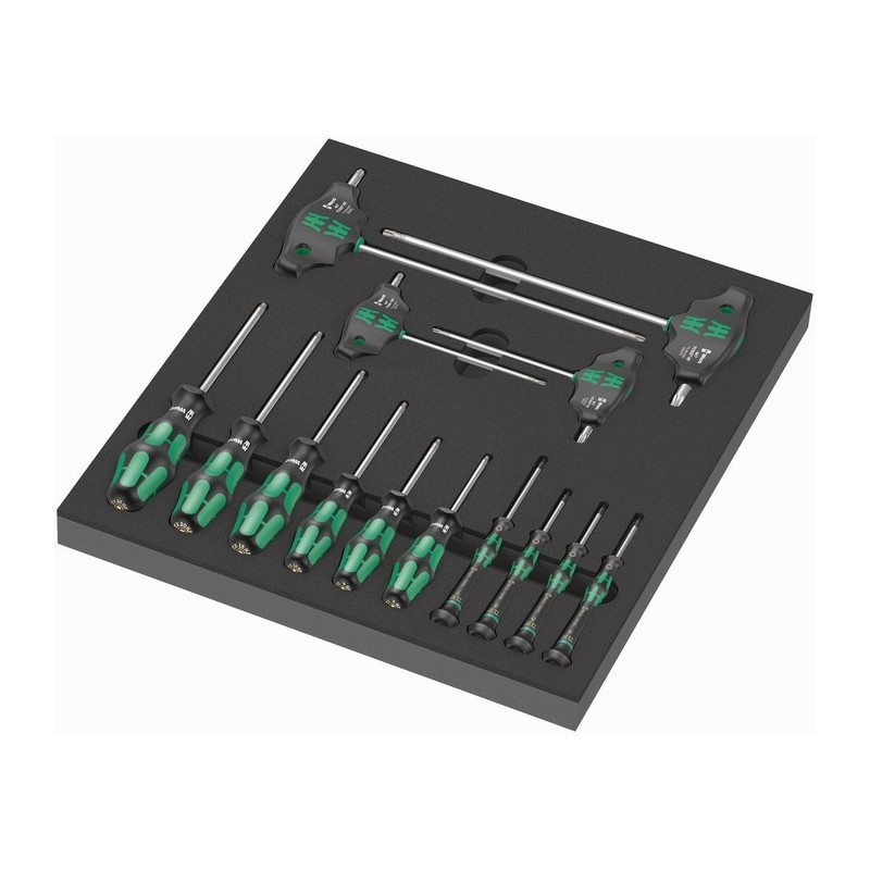 WKŁADKA PIANKOWA Z WKRĘTAKAMI DO ŚRUB I WKRĘTÓW TORX 14CZ,