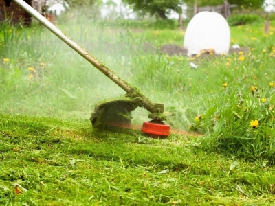 Podkaszarka spalinowa czy elektryczna - jakiego dokonać wyboru?